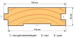 Размеры европола